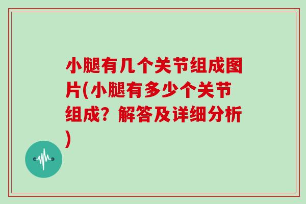 小腿有几个关节组成图片(小腿有多少个关节组成？解答及详细分析)