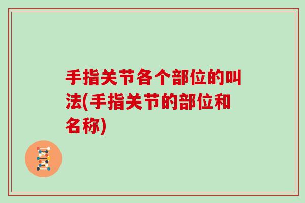 手指关节各个部位的叫法(手指关节的部位和名称) 手指关节各个部位的叫法(手指关节的部位和名称)