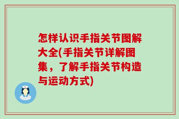 怎样认识手指关节图解大全(手指关节详解图集,了解手指关节构造与运动方式) 怎样认识手指关节图解大全(手指关节详解图集,了解手指关节构造与运动方式)