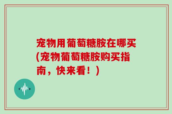 宠物用葡萄糖胺在哪买(宠物葡萄糖胺购买指南，快来看！)