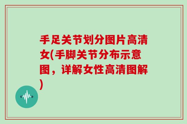 手足关节划分图片高清女(手脚关节分布示意图，详解女性高清图解)