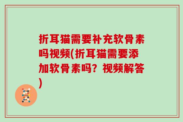 折耳猫需要补充软骨素吗视频(折耳猫需要添加软骨素吗？视频解答)