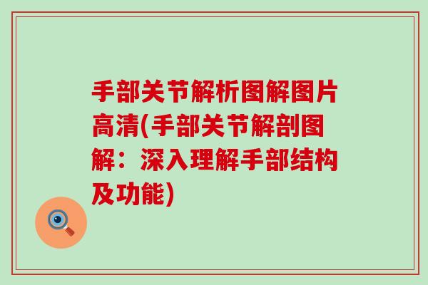 手部关节解析图解图片高清(手部关节解剖图解:深入理解手部结构及功能) 手部关节解析图解图片高清(手部关节解剖图解:深入理解手部结构及功能)