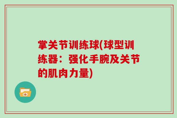掌关节训练球(球型训练器：强化手腕及关节的肌肉力量)