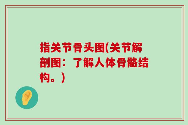 指关节骨头图(关节解剖图:了解人体骨骼结构。) 指关节骨头图(关节解剖图:了解人体骨骼结构。)