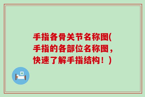 手指各骨关节名称图(手指的各部位名称图,快速了解手指结构!) 手指各骨关节名称图(手指的各部位名称图,快速了解手指结构!)
