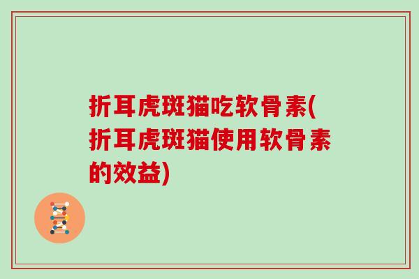 折耳虎斑猫吃软骨素(折耳虎斑猫使用软骨素的效益) 折耳虎斑猫吃软骨素(折耳虎斑猫使用软骨素的效益)