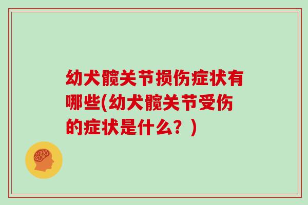 幼犬髋关节损伤症状有哪些(幼犬髋关节受伤的症状是什么？)
