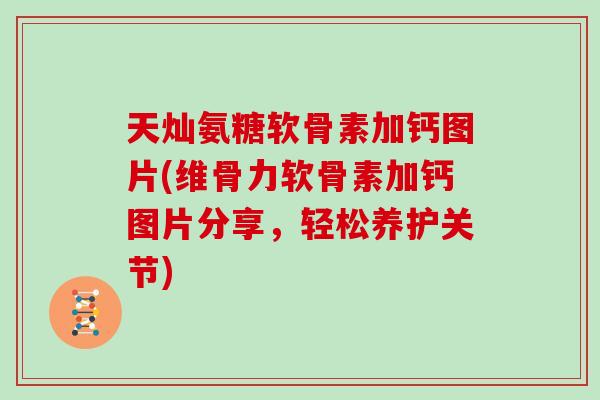 天灿氨糖软骨素加钙图片(维骨力软骨素加钙图片分享,轻松养护关节) 天灿氨糖软骨素加钙图片(维骨力软骨素加钙图片分享,轻松养护关节)