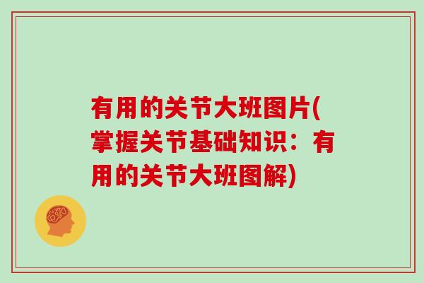 有用的关节大班图片(掌握关节基础知识:有用的关节大班图解) 有用的关节大班图片(掌握关节基础知识:有用的关节大班图解)