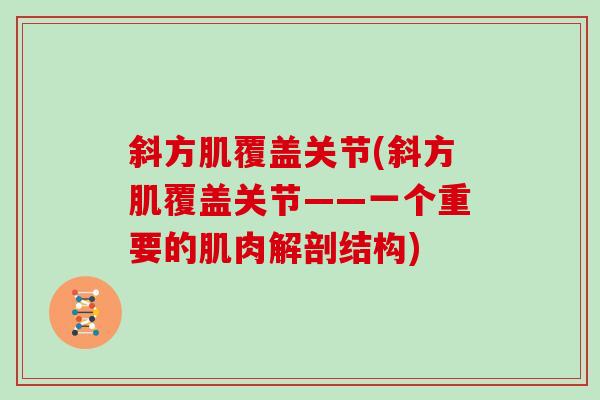 斜方肌覆盖关节(斜方肌覆盖关节——一个重要的肌肉解剖结构)