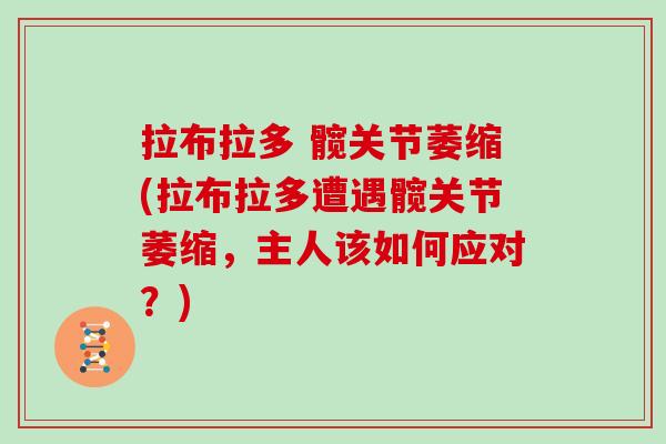 拉布拉多 髋关节萎缩(拉布拉多遭遇髋关节萎缩,主人该如何应对?) 拉布拉多 髋关节萎缩(拉布拉多遭遇髋关节萎缩,主人该如何应对?)