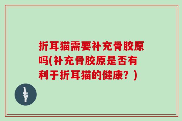 折耳猫需要补充骨胶原吗(补充骨胶原是否有利于折耳猫的健康？)