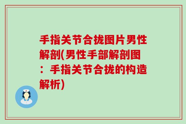 手指关节合拢图片男性解剖(男性手部解剖图：手指关节合拢的构造解析)
