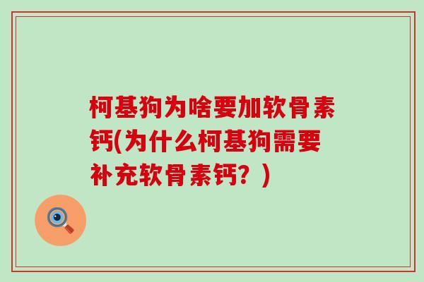 柯基狗为啥要加软骨素钙(为什么柯基狗需要补充软骨素钙?) 柯基狗为啥要加软骨素钙(为什么柯基狗需要补充软骨素钙?)