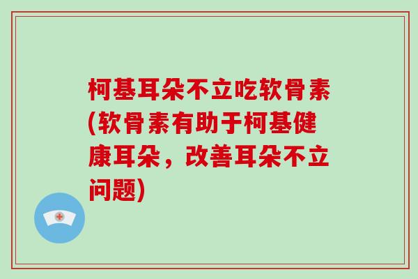 柯基耳朵不立吃软骨素(软骨素有助于柯基健康耳朵,改善耳朵不立问题) 柯基耳朵不立吃软骨素(软骨素有助于柯基健康耳朵,改善耳朵不立问题)