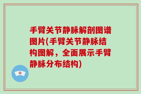 手臂关节静脉解剖图谱图片(手臂关节静脉结构图解，全面展示手臂静脉分布结构)