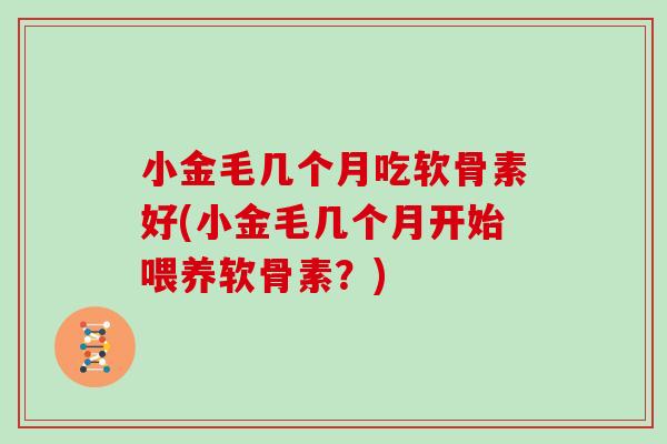 小金毛几个月吃软骨素好(小金毛几个月开始喂养软骨素？)