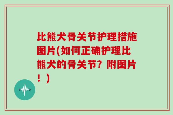 比熊犬骨关节护理措施图片(如何正确护理比熊犬的骨关节?附图片!) 比熊犬骨关节护理措施图片(如何正确护理比熊犬的骨关节?附图片!)
