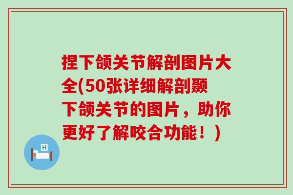 捏下颌关节解剖图片大全(50张详细解剖颞下颌关节的图片,助你更好了解咬合功能!) 捏下颌关节解剖图片大全(50张详细解剖颞下颌关节的图片,助你更好了解咬合功能!)