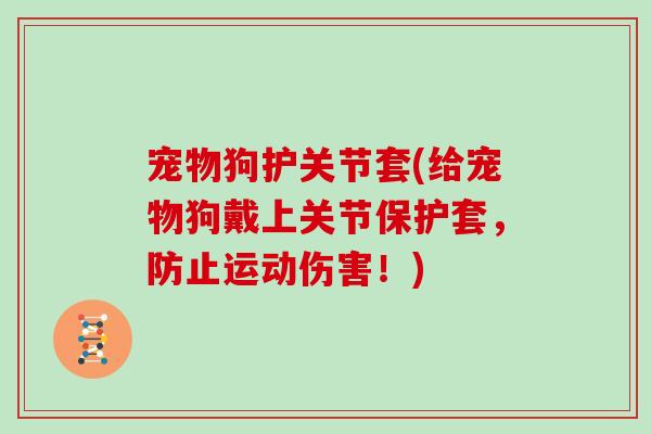 宠物狗护关节套(给宠物狗戴上关节保护套，防止运动伤害！)