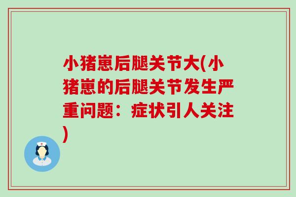小猪崽后腿关节大(小猪崽的后腿关节发生严重问题:症状引人关注) 小猪崽后腿关节大(小猪崽的后腿关节发生严重问题:症状引人关注)