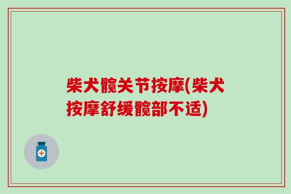 柴犬髋关节按摩(柴犬按摩舒缓髋部不适) 柴犬髋关节按摩(柴犬按摩舒缓髋部不适)