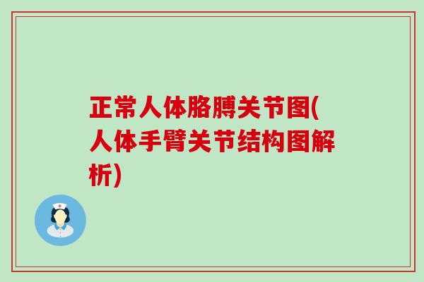 正常人体胳膊关节图(人体手臂关节结构图解析)