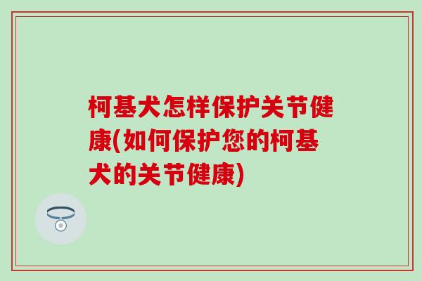 柯基犬怎样保护关节健康(如何保护您的柯基犬的关节健康) 柯基犬怎样保护关节健康(如何保护您的柯基犬的关节健康)