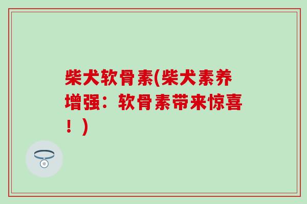 柴犬软骨素(柴犬素养增强:软骨素带来惊喜!) 柴犬软骨素(柴犬素养增强:软骨素带来惊喜!)