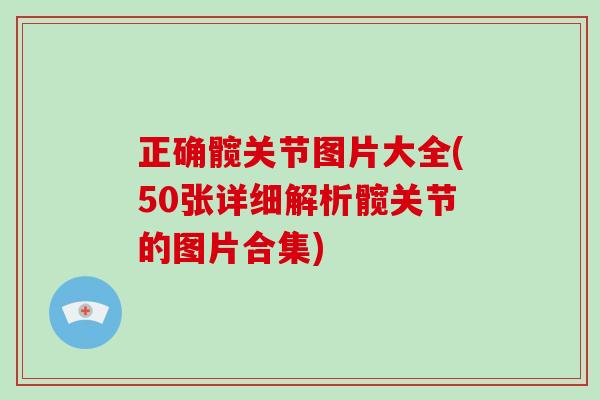 正确髋关节图片大全(50张详细解析髋关节的图片合集) 正确髋关节图片大全(50张详细解析髋关节的图片合集)