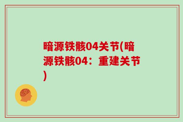 暗源铁骸04关节(暗源铁骸04：重建关节)