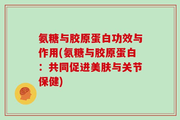 氨糖与胶原蛋白功效与作用(氨糖与胶原蛋白:共同促进美肤与关节保健) 氨糖与胶原蛋白功效与作用(氨糖与胶原蛋白:共同促进美肤与关节保健)