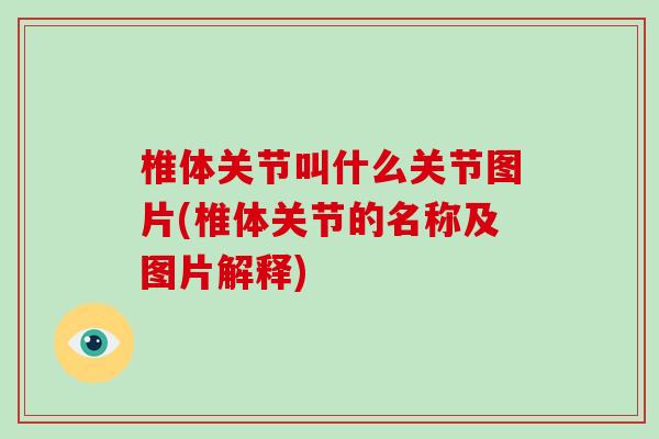 椎体关节叫什么关节图片(椎体关节的名称及图片解释)