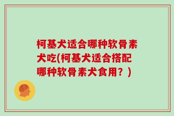 柯基犬适合哪种软骨素犬吃(柯基犬适合搭配哪种软骨素犬食用？)