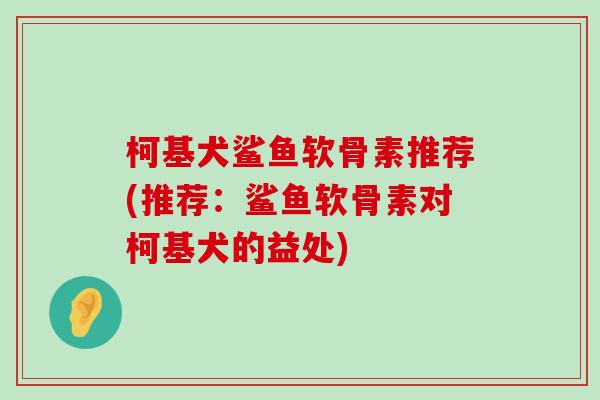 柯基犬鲨鱼软骨素推荐(推荐：鲨鱼软骨素对柯基犬的益处)