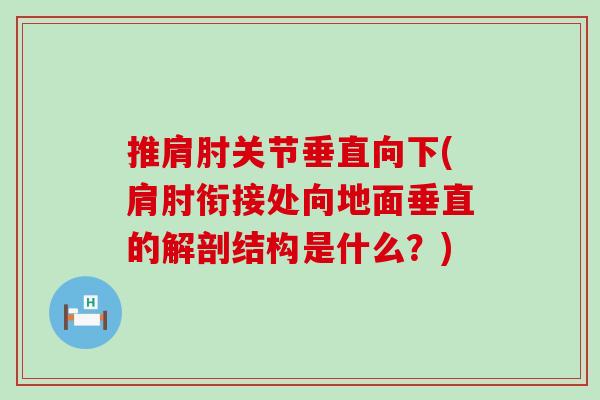 推肩肘关节垂直向下(肩肘衔接处向地面垂直的解剖结构是什么?) 推肩肘关节垂直向下(肩肘衔接处向地面垂直的解剖结构是什么?)