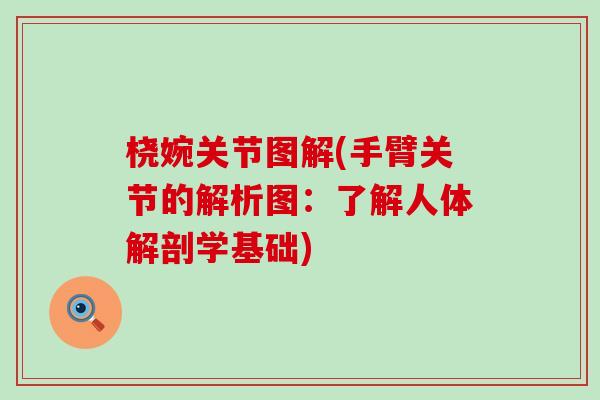 桡婉关节图解(手臂关节的解析图:了解人体解剖学基础) 桡婉关节图解(手臂关节的解析图:了解人体解剖学基础)