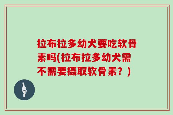 拉布拉多幼犬要吃软骨素吗(拉布拉多幼犬需不需要摄取软骨素？)