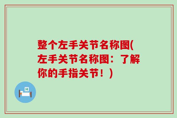 整个左手关节名称图(左手关节名称图：了解你的手指关节！)