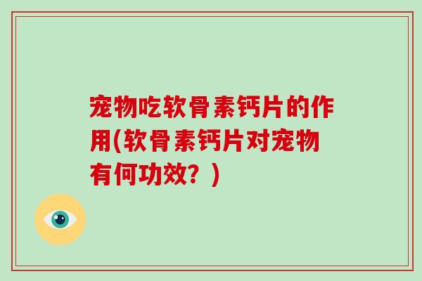 宠物吃软骨素钙片的作用(软骨素钙片对宠物有何功效？)