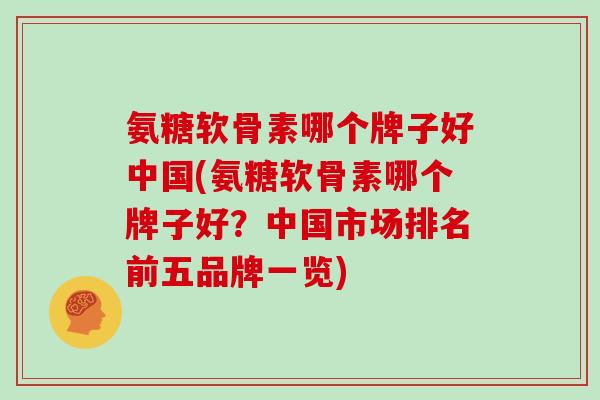 氨糖软骨素哪个牌子好中国(氨糖软骨素哪个牌子好？中国市场排名前五品牌一览)