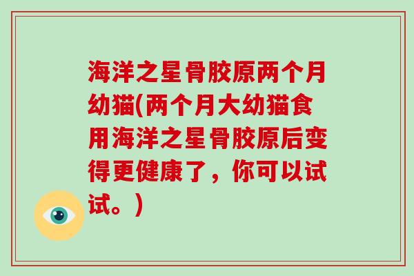 海洋之星骨胶原两个月幼猫(两个月大幼猫食用海洋之星骨胶原后变得更健康了,你可以试试。) 海洋之星骨胶原两个月幼猫(两个月大幼猫食用海洋之星骨胶原后变得更健康了,你可以试试。)