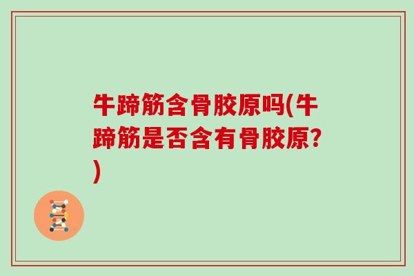 牛蹄筋含骨胶原吗(牛蹄筋是否含有骨胶原?) 牛蹄筋含骨胶原吗(牛蹄筋是否含有骨胶原?)