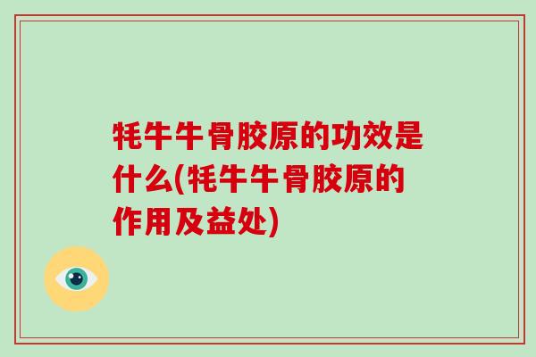 牦牛牛骨胶原的功效是什么(牦牛牛骨胶原的作用及益处) 牦牛牛骨胶原的功效是什么(牦牛牛骨胶原的作用及益处)