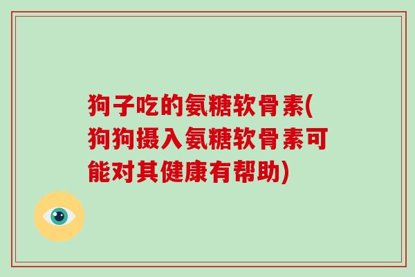 狗子吃的氨糖软骨素(狗狗摄入氨糖软骨素可能对其健康有帮助)