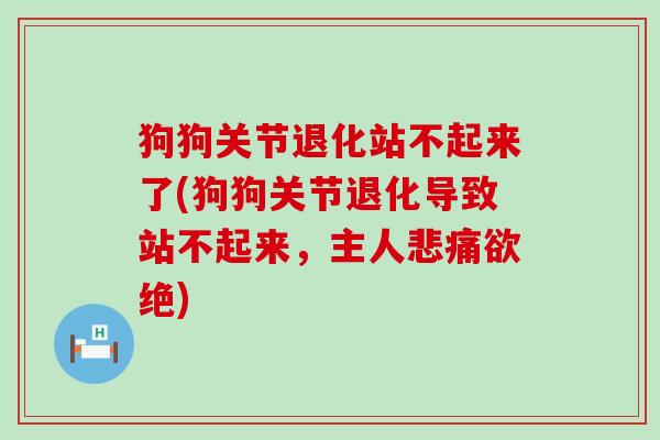 狗狗关节退化站不起来了(狗狗关节退化导致站不起来,主人悲痛欲绝) 狗狗关节退化站不起来了(狗狗关节退化导致站不起来,主人悲痛欲绝)
