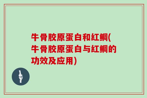 牛骨胶原蛋白和红鲷(牛骨胶原蛋白与红鲷的功效及应用)