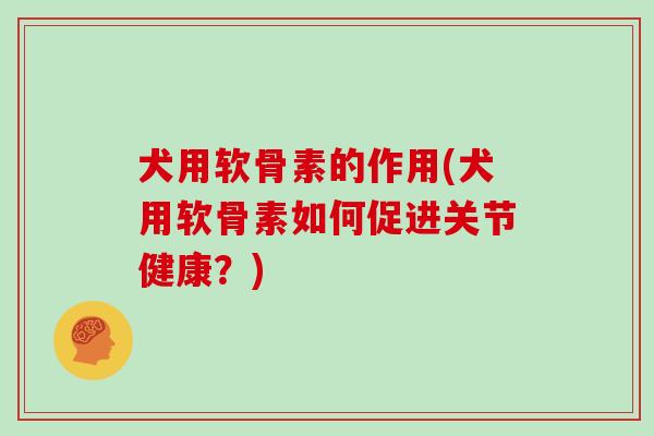犬用软骨素的作用(犬用软骨素如何促进关节健康?) 犬用软骨素的作用(犬用软骨素如何促进关节健康?)