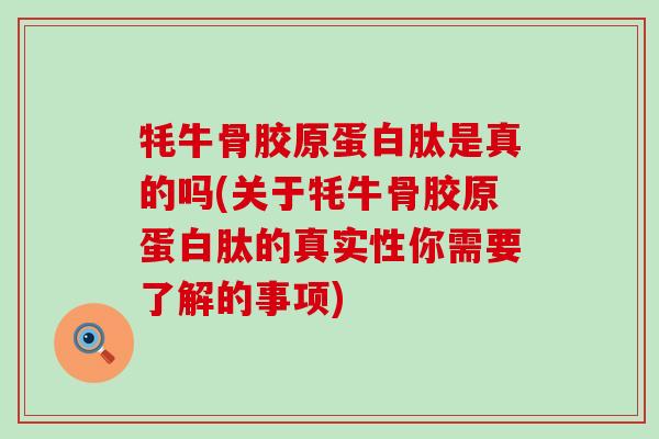 牦牛骨胶原蛋白肽是真的吗(关于牦牛骨胶原蛋白肽的真实性你需要了解的事项)